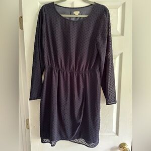 J. Crew Blue Long Sleeve Crew Neck Sundress